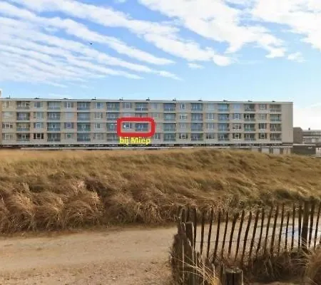 Bij Miep Egmond aan Zee